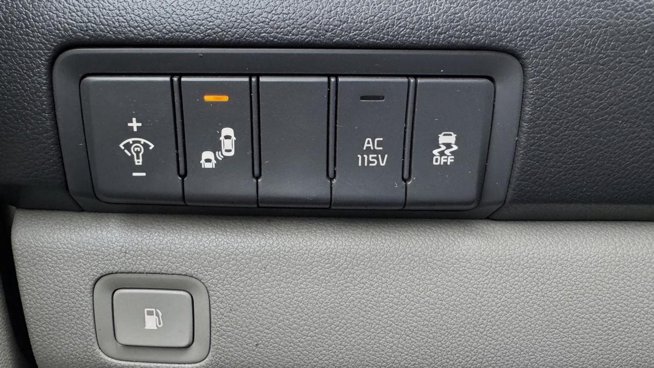 2017 Kia Sedona SX+ Photo