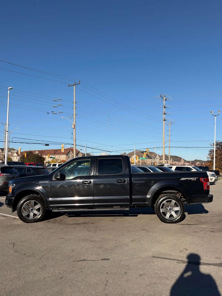 2019 Ford F-150 XL 4WD SuperCrew 5.5' Box Photo