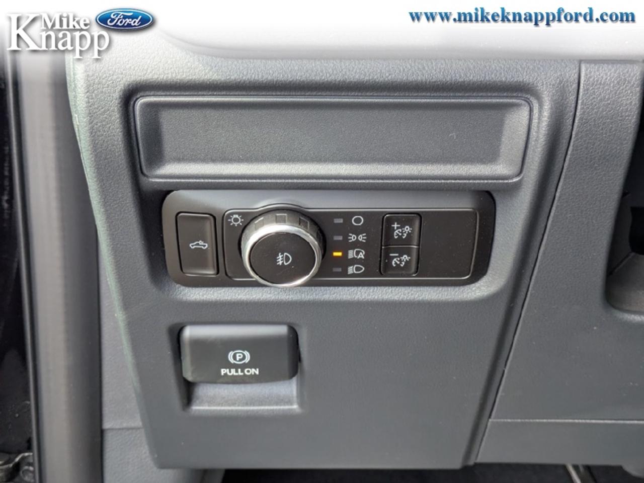 2026 Ford F-150 XLT Photo