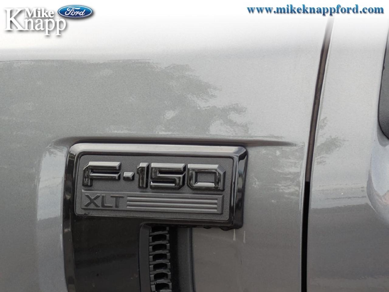 2026 Ford F-150 XLT Photo