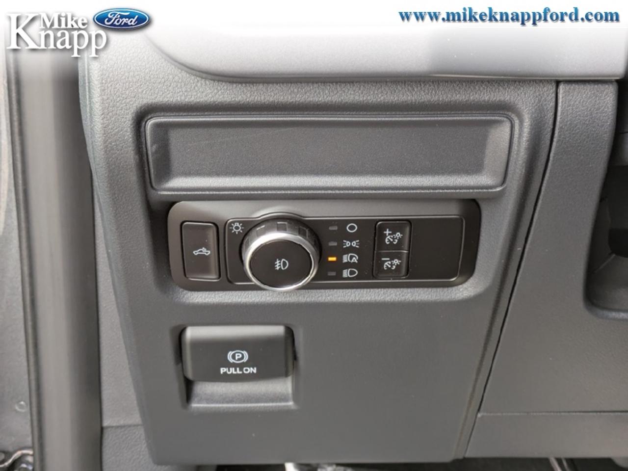 2026 Ford F-150 XLT Photo