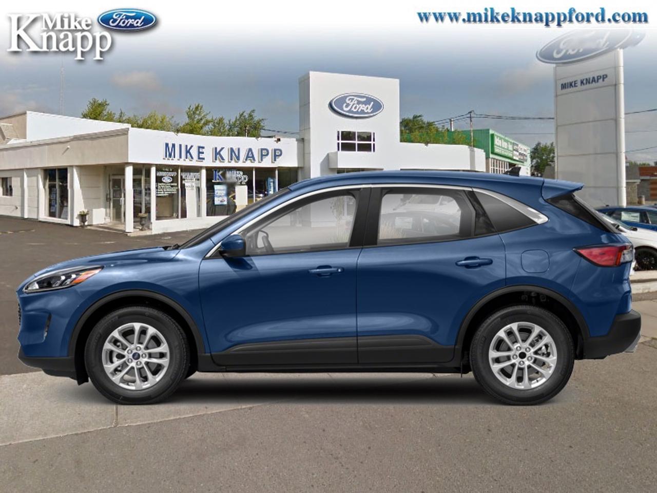 2022 Ford Escape SE Photo