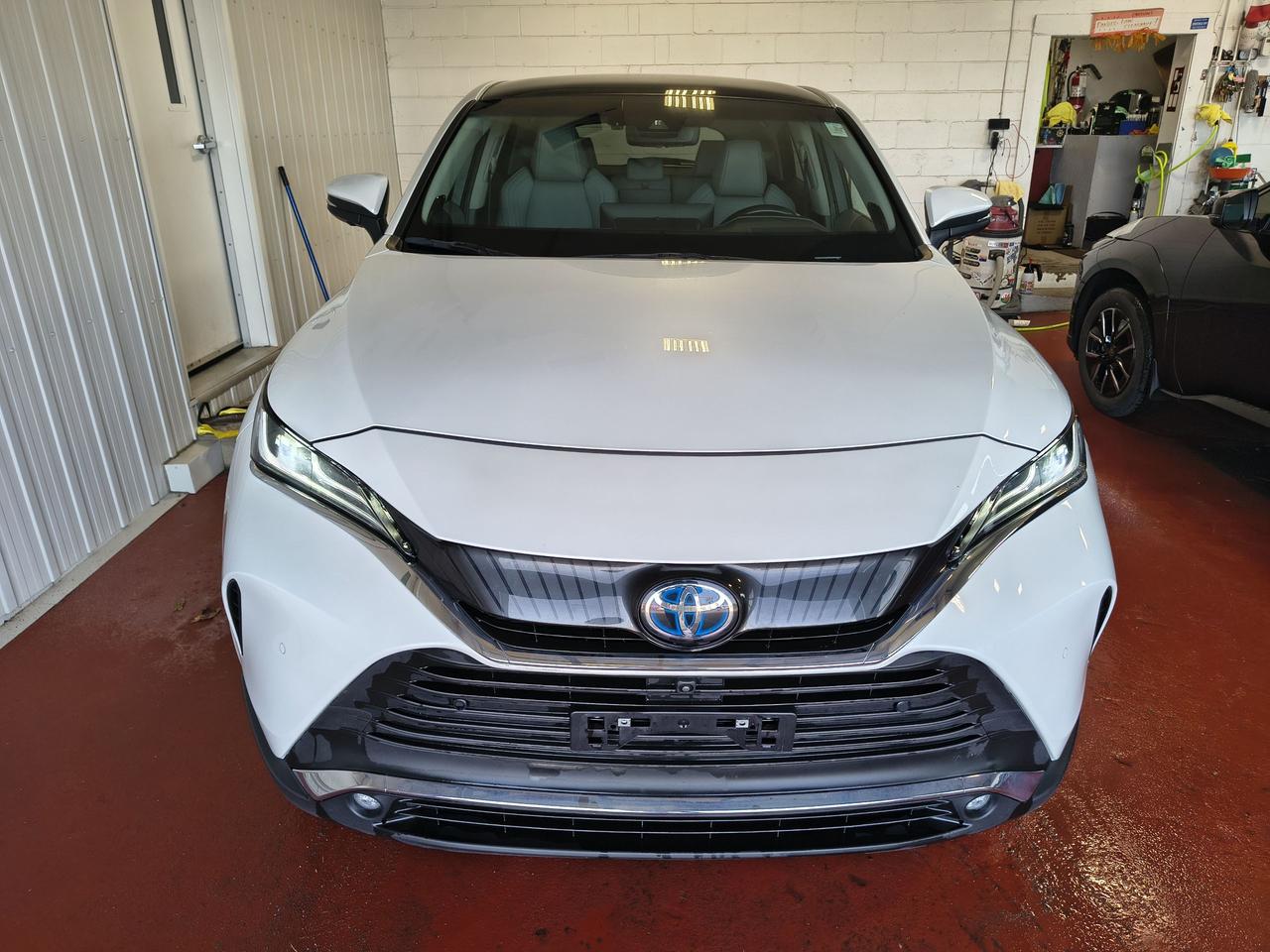 2023 Toyota Venza LIMITED Photo