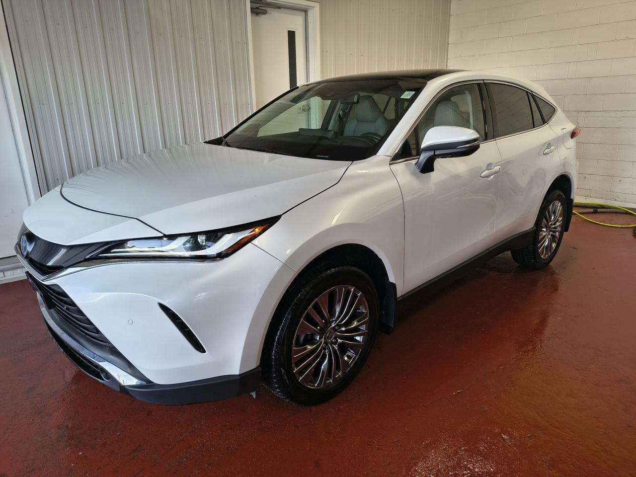 2023 Toyota Venza LIMITED Photo0