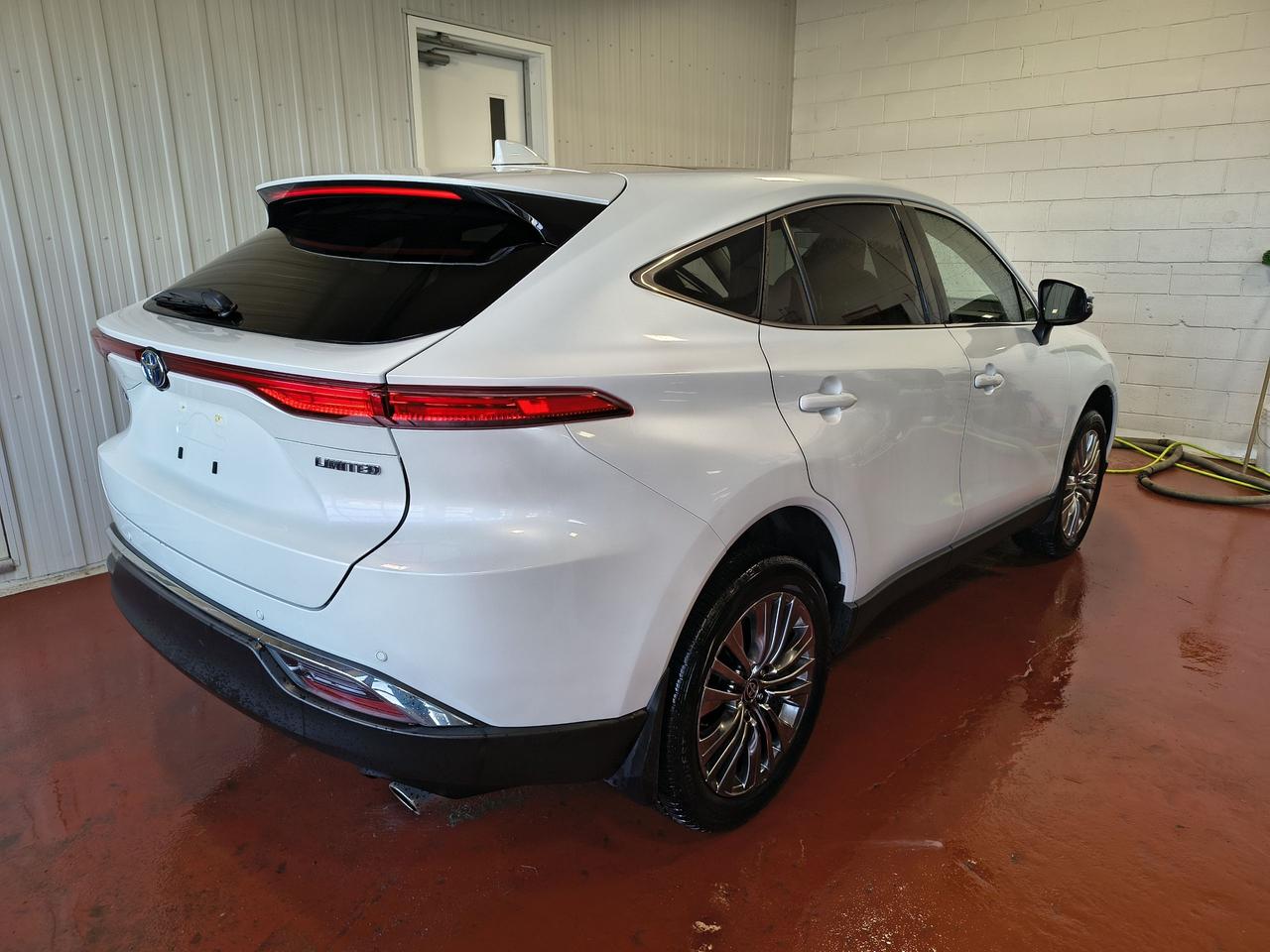 2023 Toyota Venza LIMITED Photo5