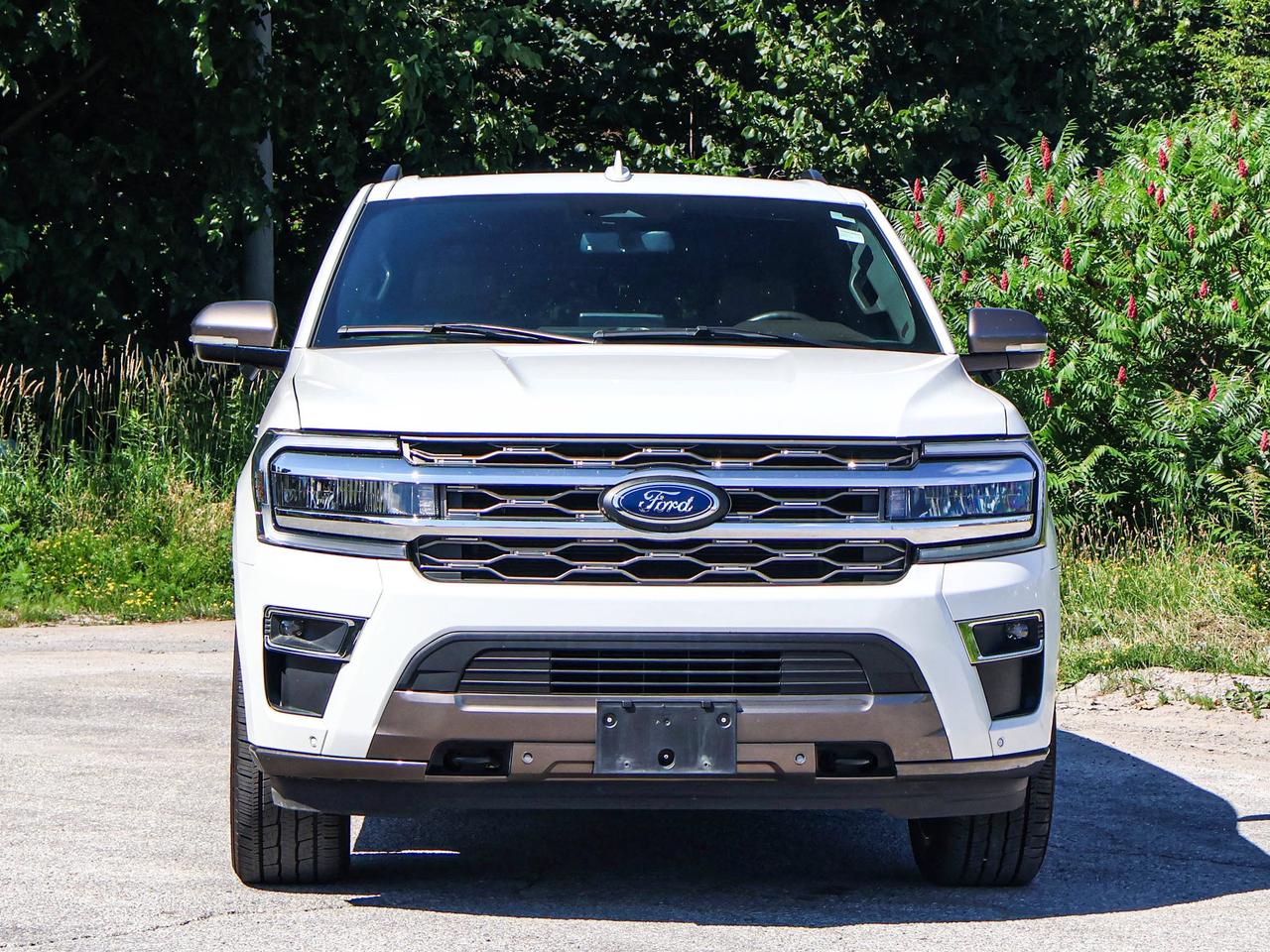 2024 Ford Expedition KING RANCH Photo