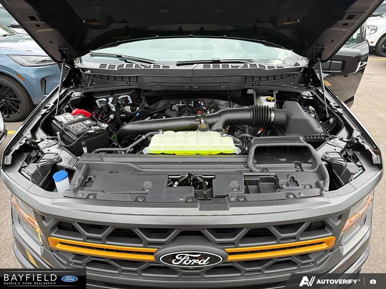 2026 Ford F-150 Tremor Photo