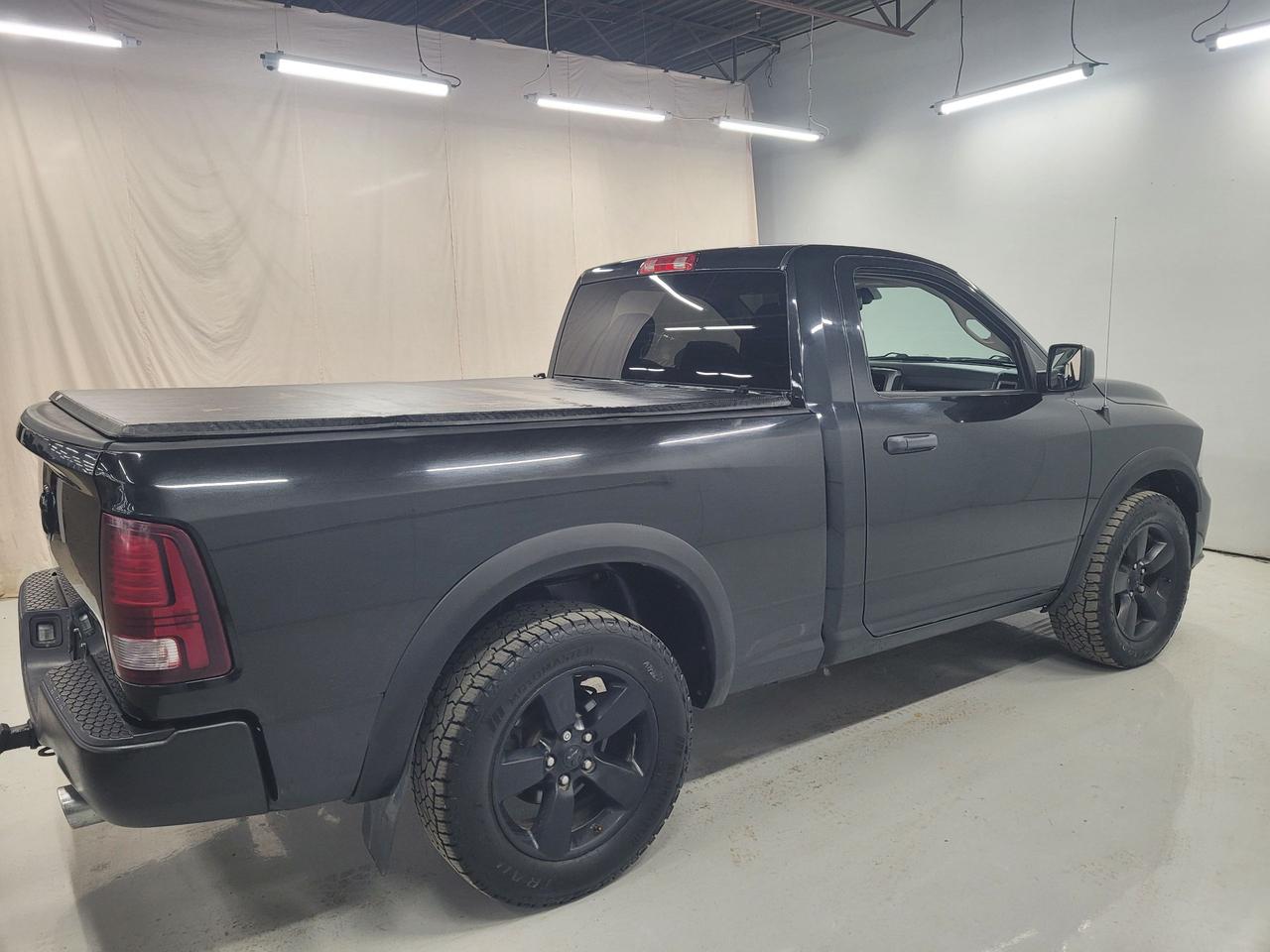 2015 RAM 1500 2WD Reg Cab 120.5" Express Photo