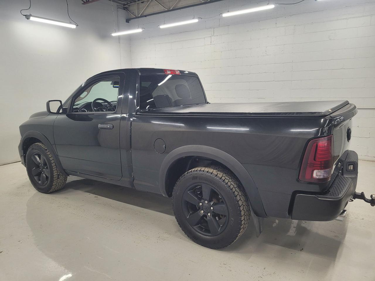 2015 RAM 1500 2WD Reg Cab 120.5" Express Photo