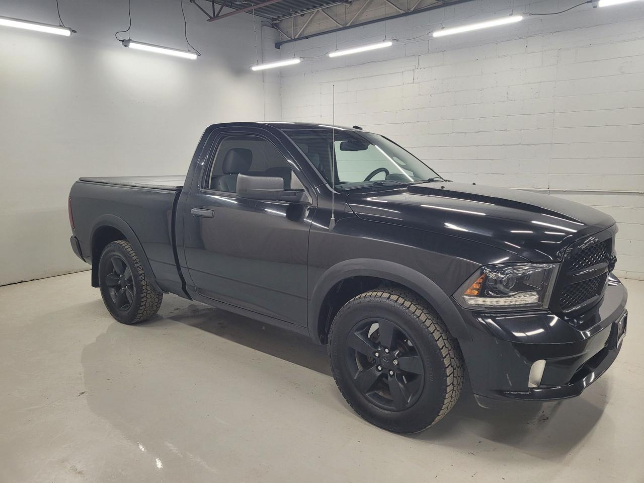 2015 RAM 1500 2WD Reg Cab 120.5" Express Photo0