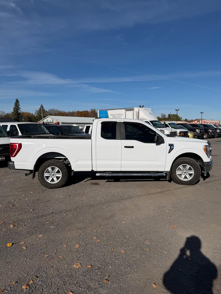 2022 Ford F-150 XLT Photo