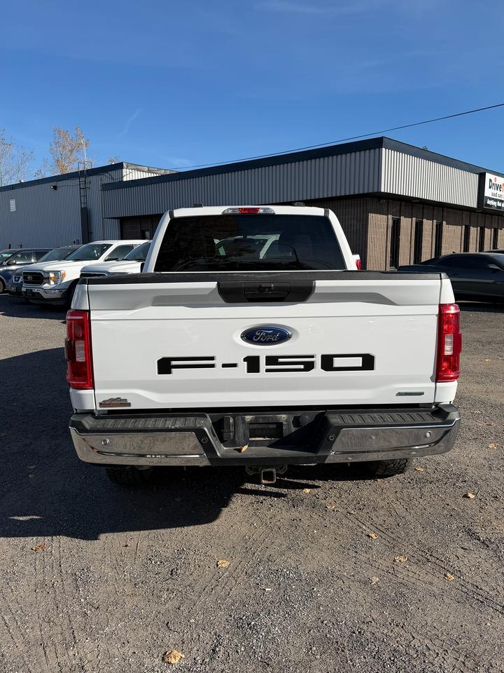 2022 Ford F-150 XLT Photo3