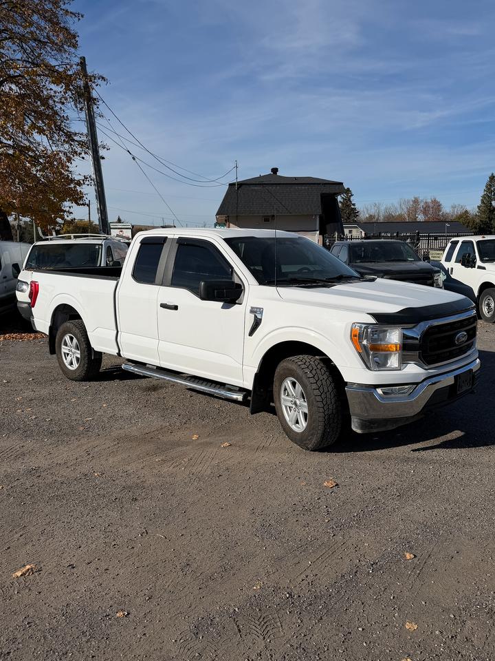 2022 Ford F-150 XLT Photo