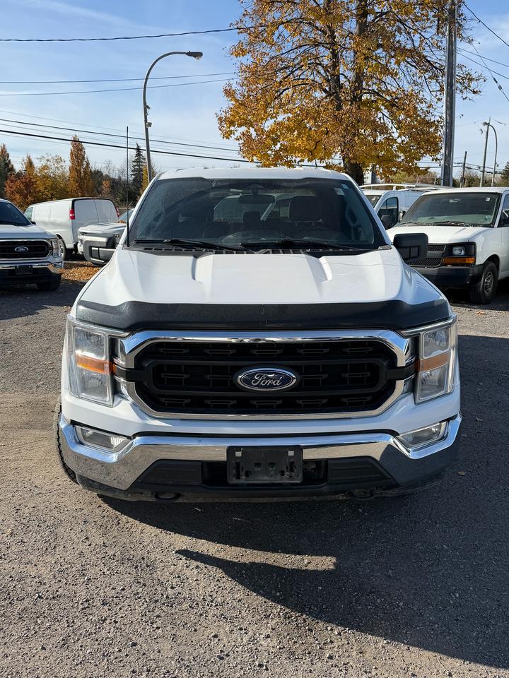 2022 Ford F-150 XLT Photo