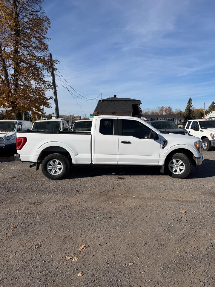 2022 Ford F-150 XLT Photo