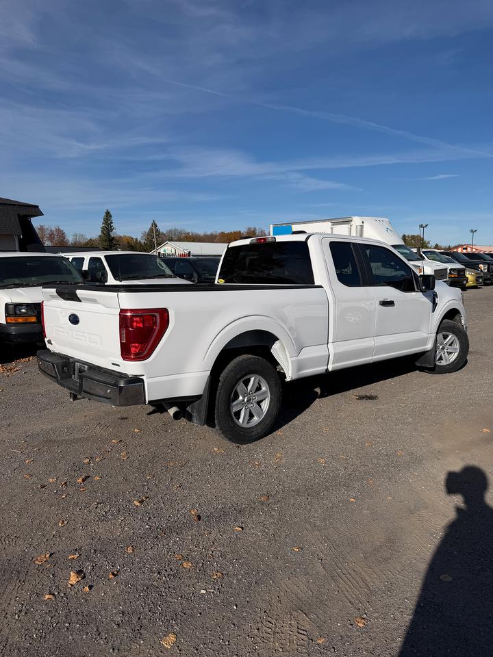 2022 Ford F-150 XLT Photo