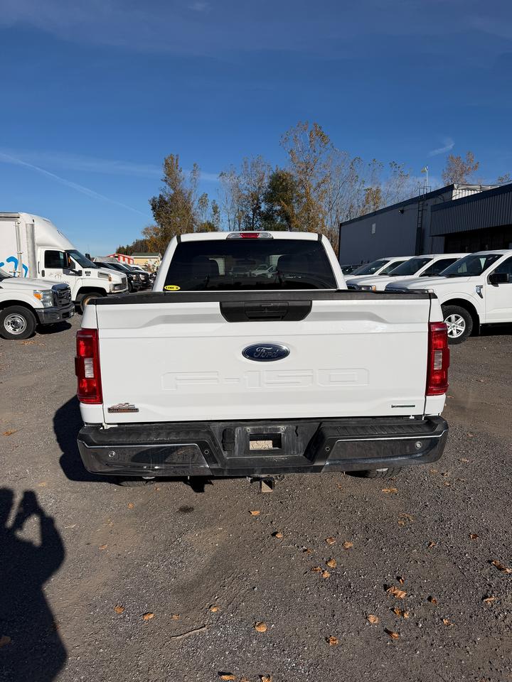 2022 Ford F-150 XLT Photo3
