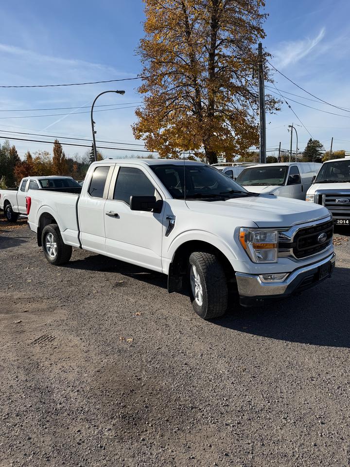 2022 Ford F-150 XLT Photo