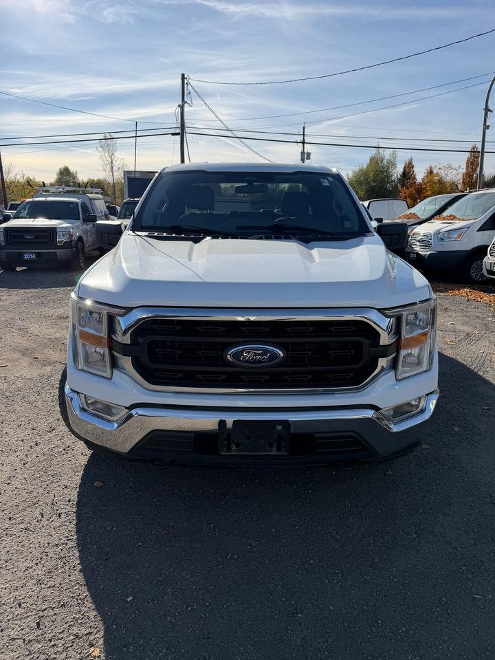 2022 Ford F-150 XLT Photo