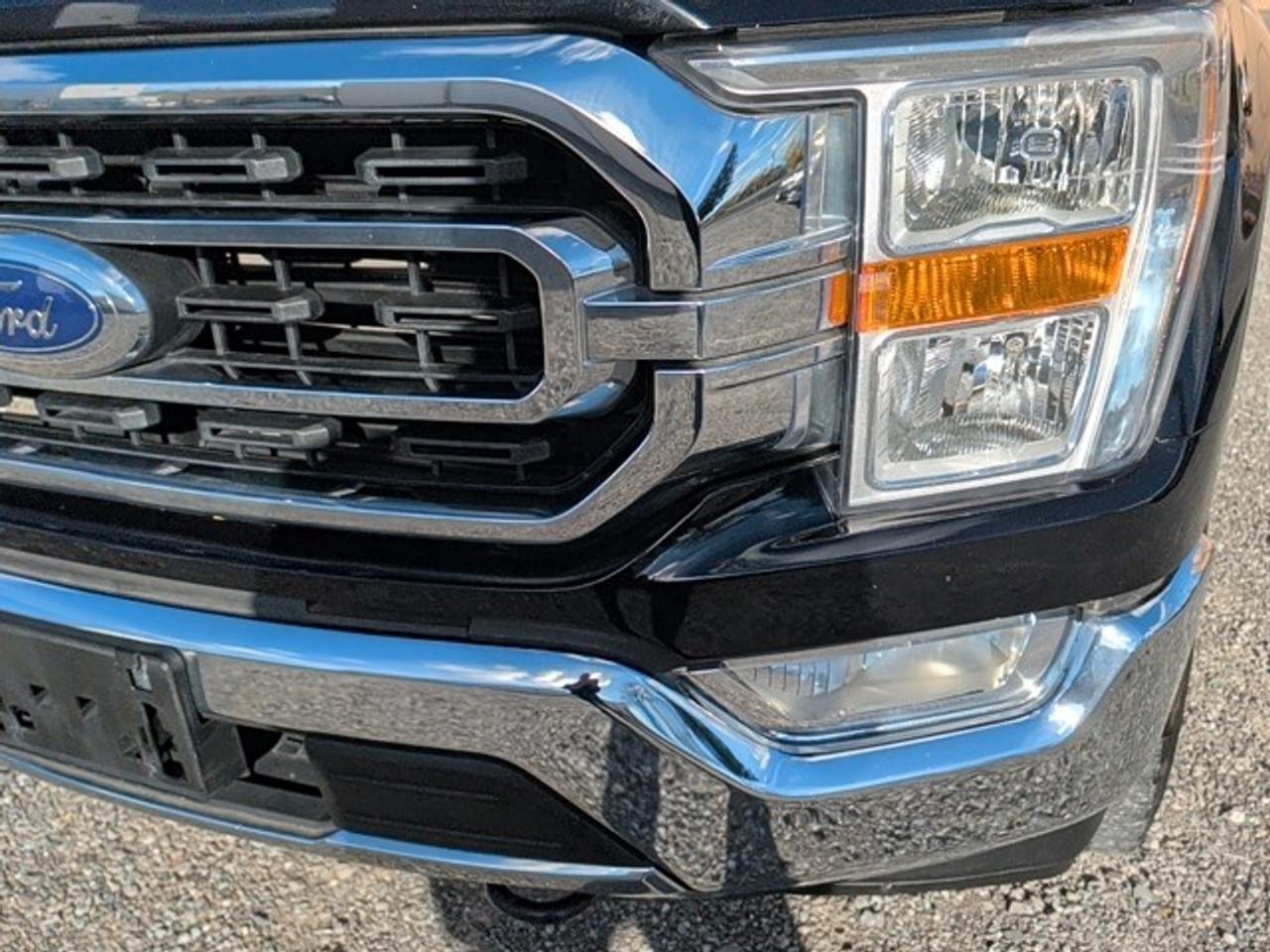 2022 Ford F-150 XTR Photo