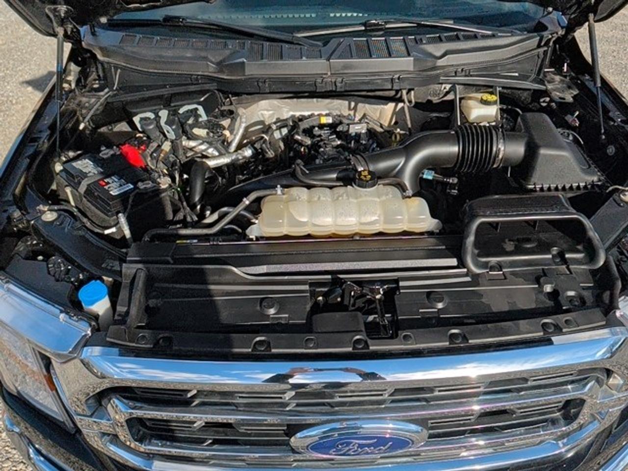 2022 Ford F-150 XTR Photo