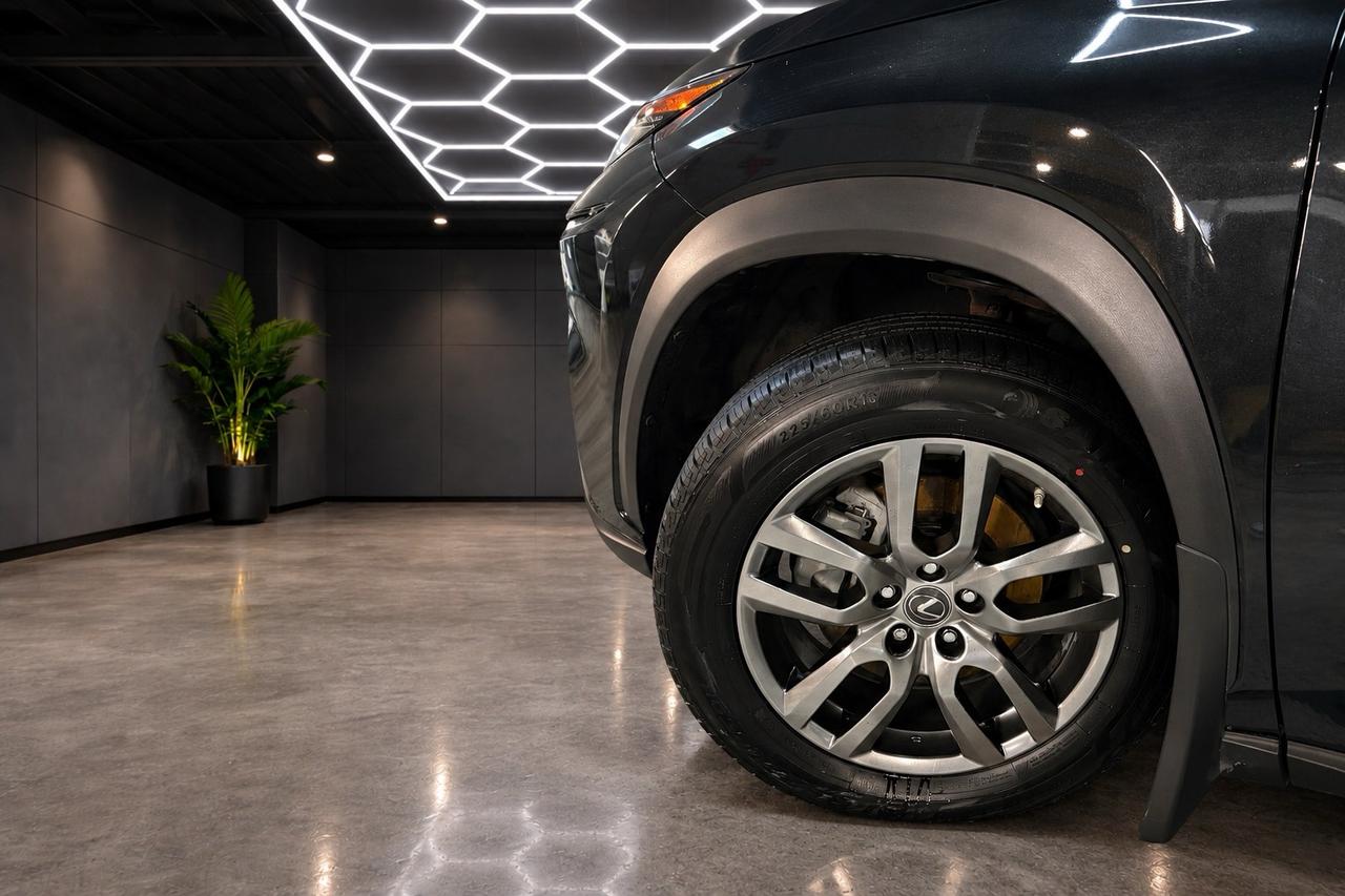 2020 Lexus NX NX 300 AWD Photo