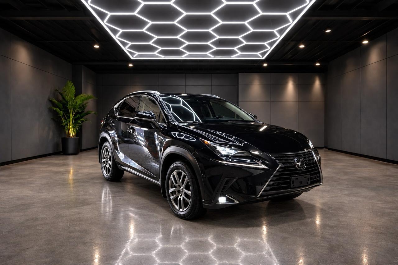 2020 Lexus NX NX 300 AWD Photo