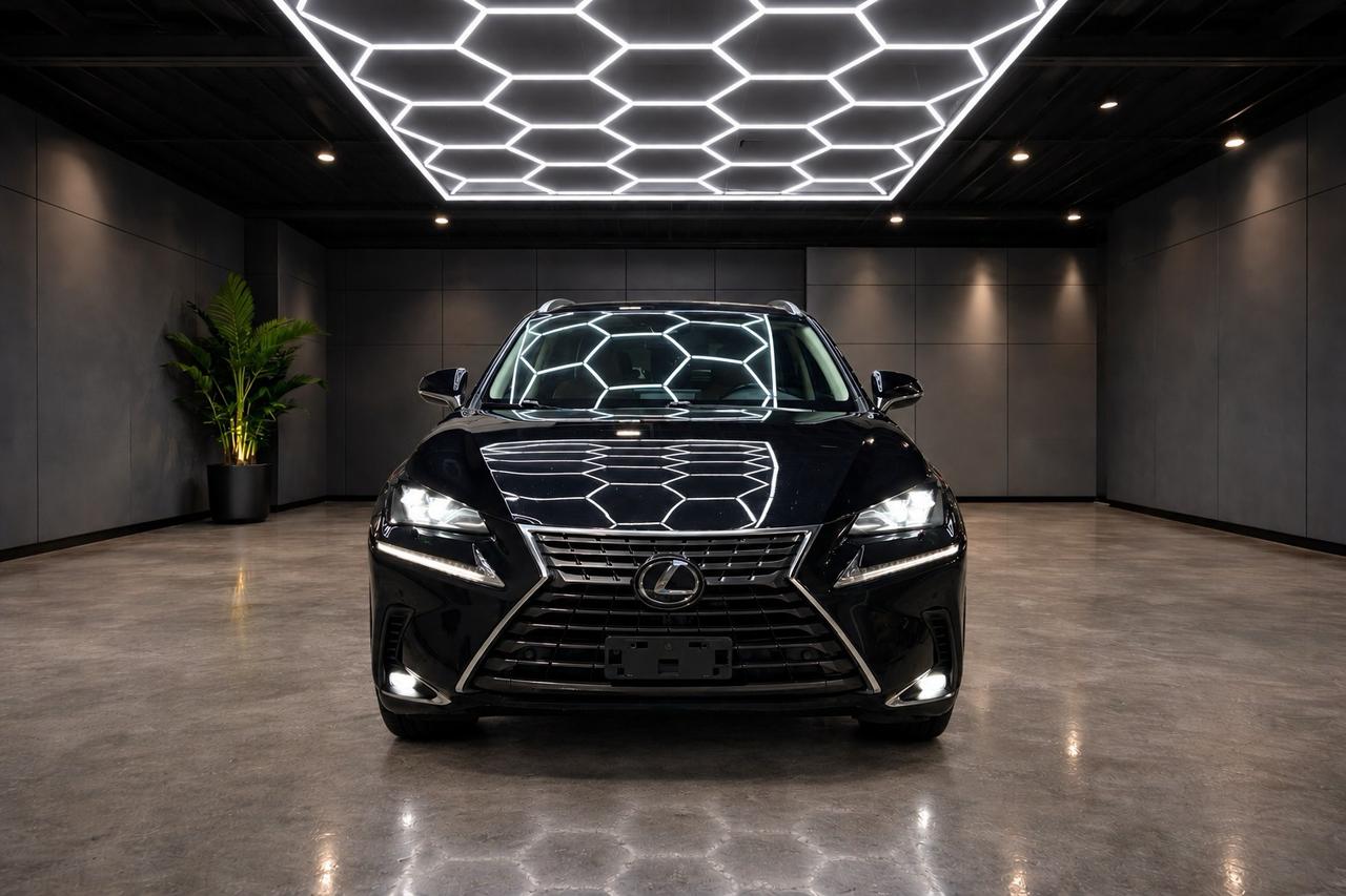 2020 Lexus NX NX 300 AWD Photo