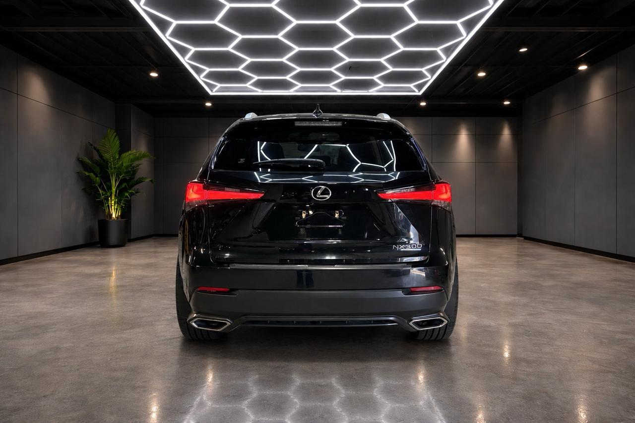 2020 Lexus NX NX 300 AWD Photo
