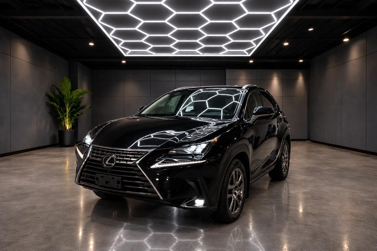 2020 Lexus NX NX 300 AWD Photo
