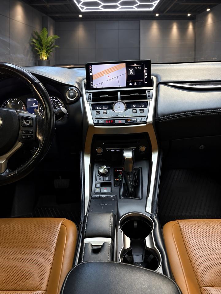 2020 Lexus NX NX 300 AWD Photo