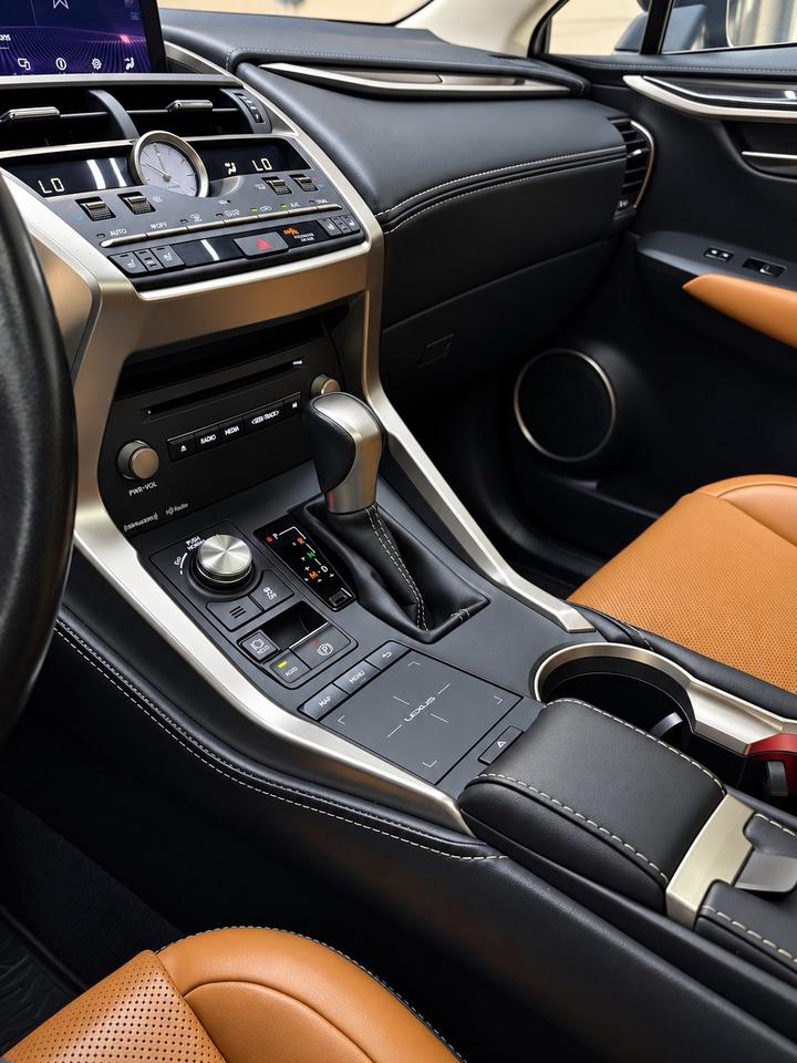 2020 Lexus NX NX 300 AWD Photo