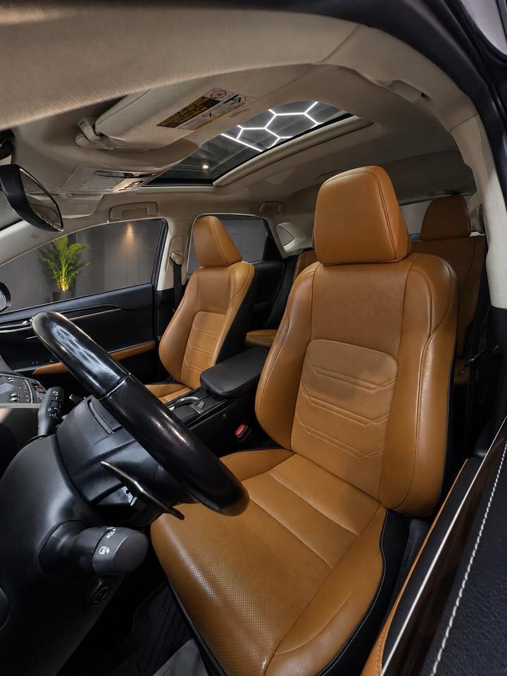 2020 Lexus NX NX 300 AWD Photo