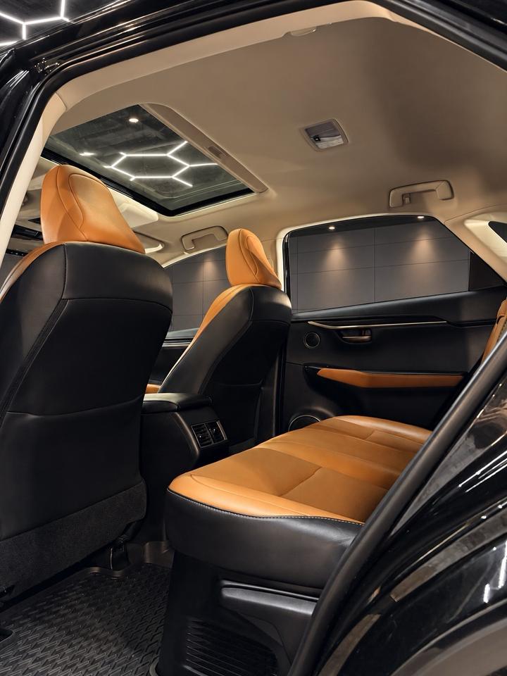 2020 Lexus NX NX 300 AWD Photo
