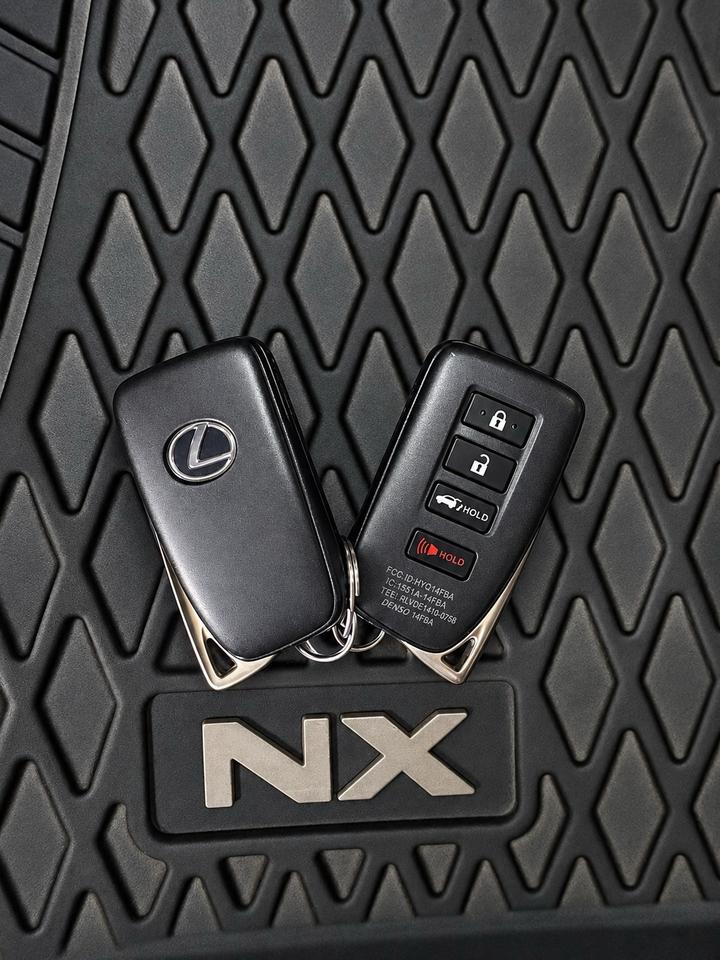 2020 Lexus NX NX 300 AWD Photo