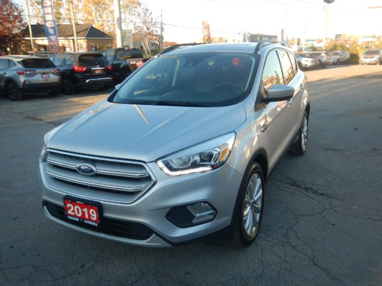 2019 Ford Escape SEL Photo