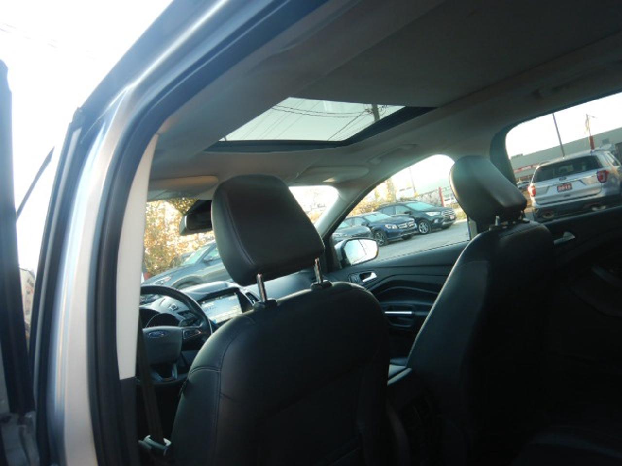 2019 Ford Escape SEL Photo