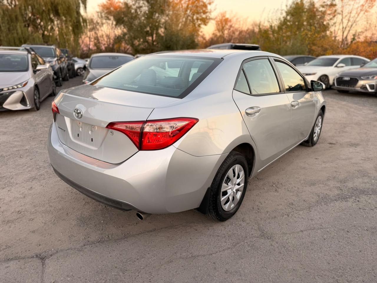 2017 Toyota Corolla LE Photo