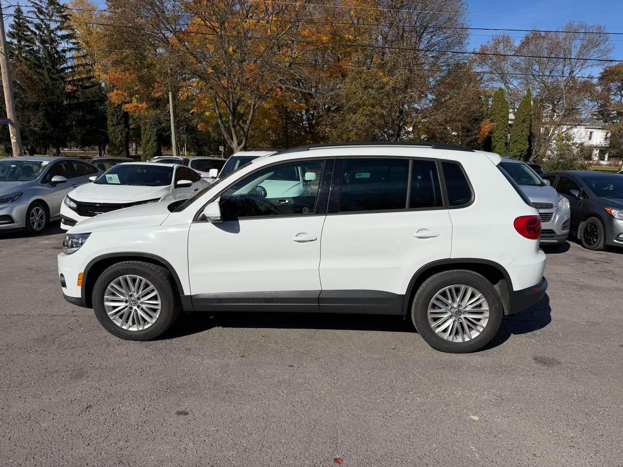 2016 Volkswagen Tiguan Special Edition Photo
