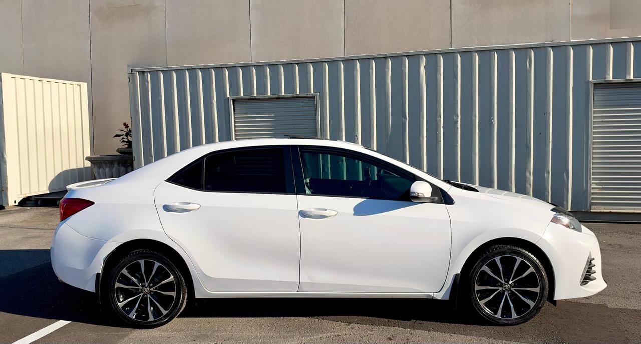 2019 Toyota Corolla SE Photo