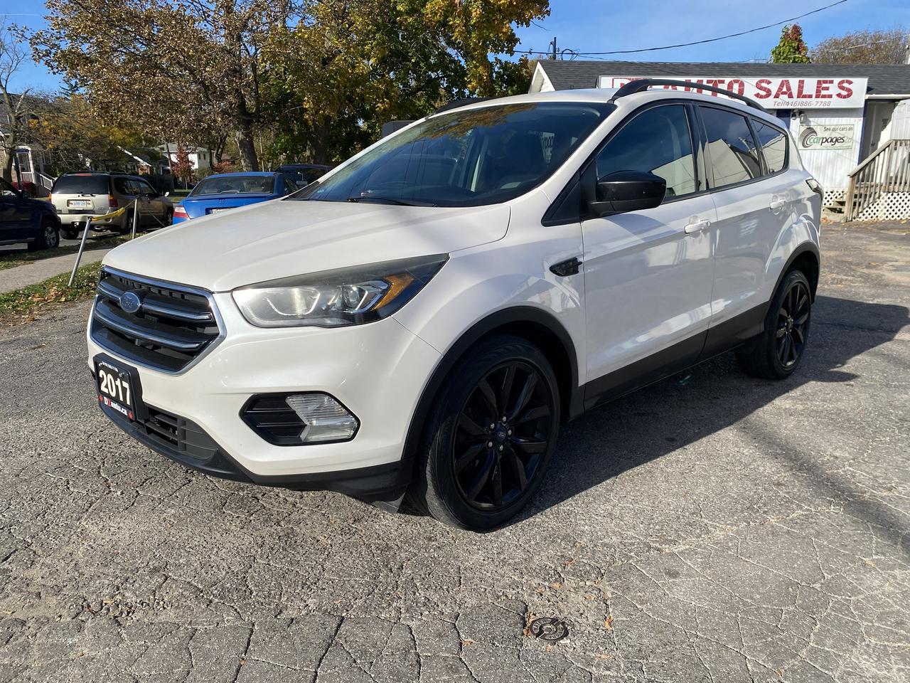 2017 Ford Escape Accident Free/1Owner/AWD/Gas Saver/Bck Camera Photo0