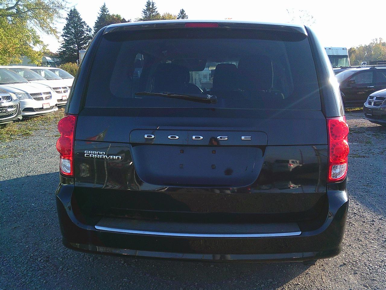 Image 7