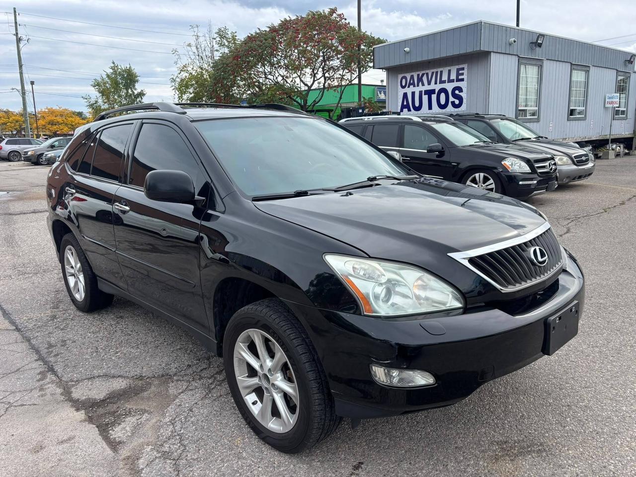 2009 Lexus RX NAvi, Leather, Roof, 4WD 4dr Photo