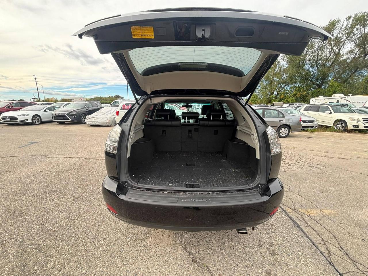 2009 Lexus RX NAvi, Leather, Roof, 4WD 4dr Photo