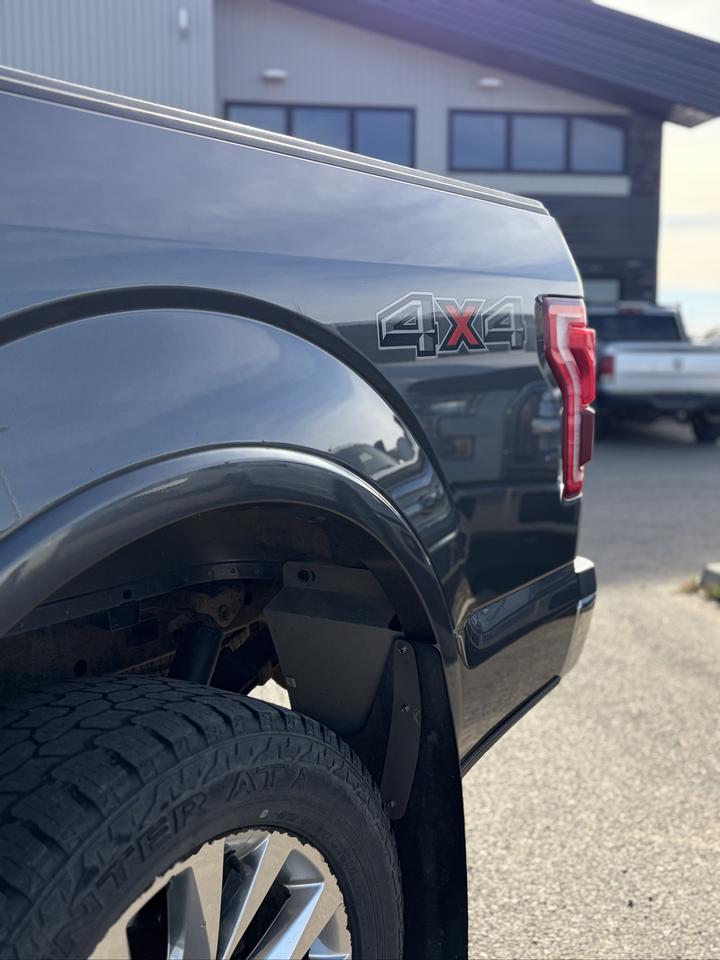 2015 Ford F-150 Lariat Photo