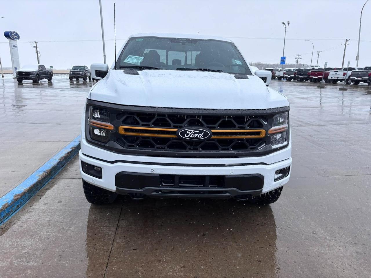 2026 Ford F-150 Tremor 4WD SuperCrew 5.5' Box Photo1