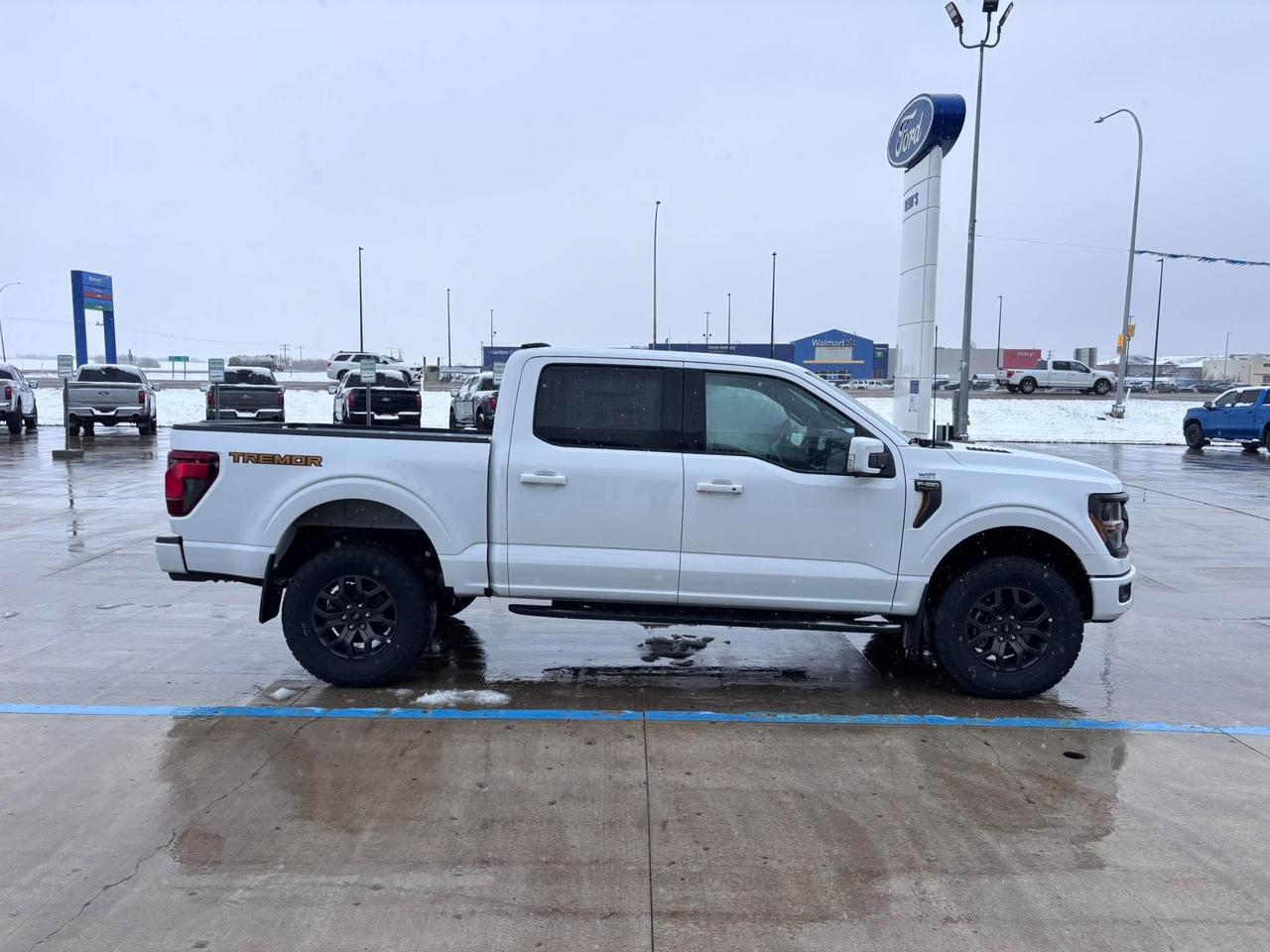2026 Ford F-150 Tremor 4WD SuperCrew 5.5' Box Photo2