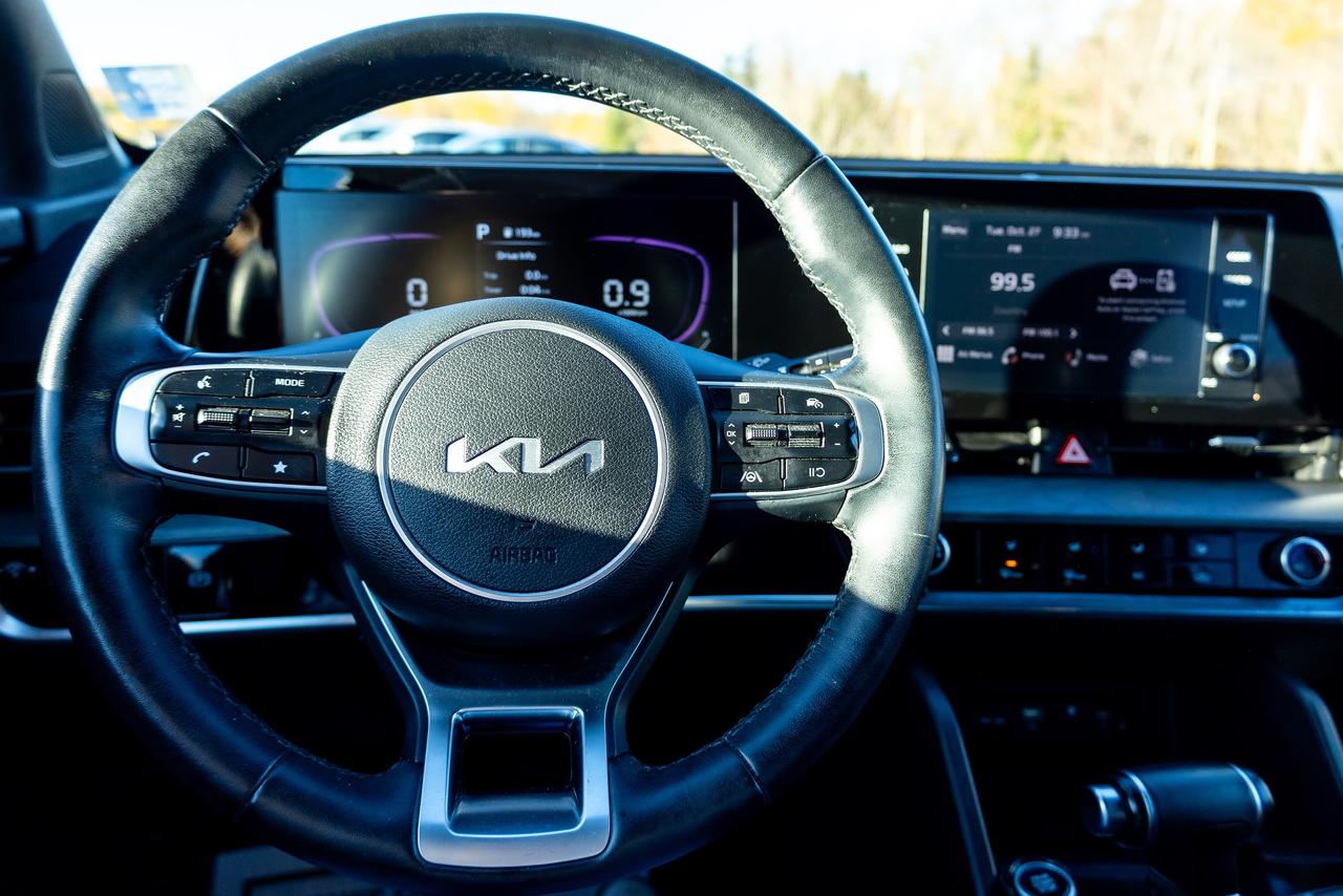 Image 15