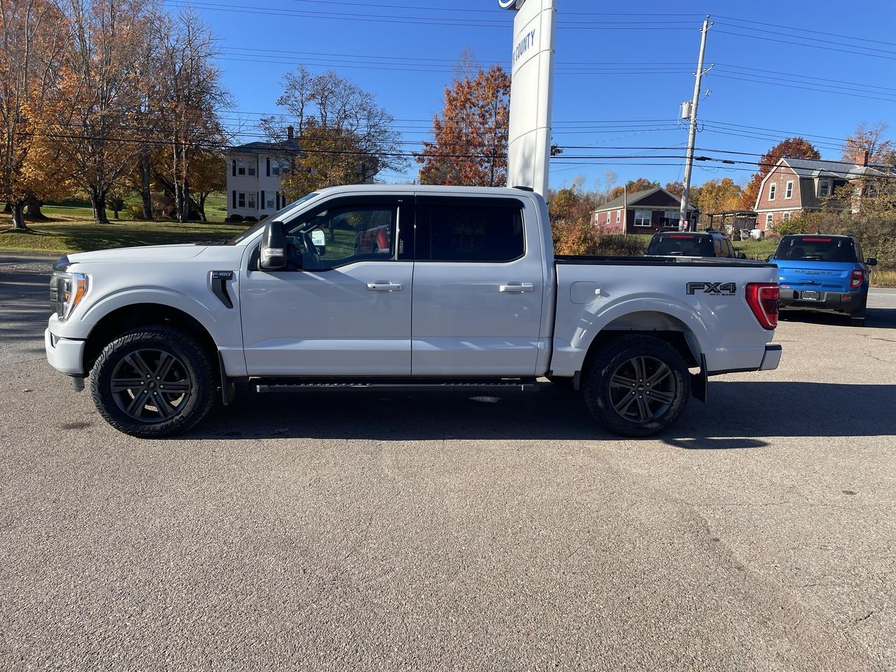 2022 Ford F-150 XLT Photo4