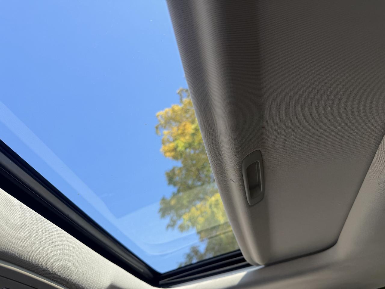 Image 19